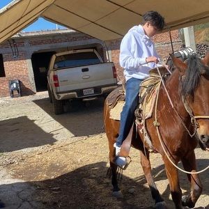 Meet your Posher, Noel